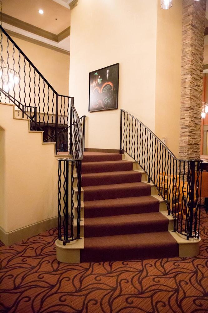 Homewood Suites By Hilton Houston-Woodlands-Shenandoah The Woodlands Luaran gambar